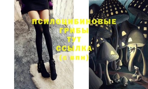кокс Алексеевка